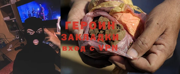 индика Алексин