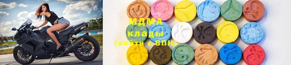 индика Алексин