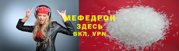 индика Алексин