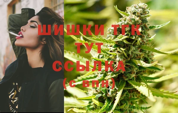 индика Алексин