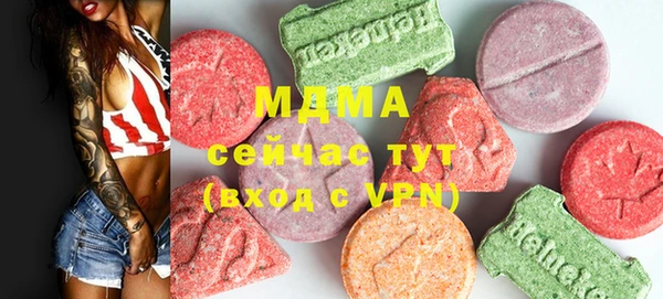 индика Алексин