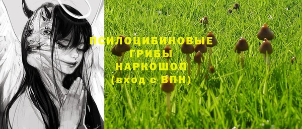 гидропоника Алексеевка
