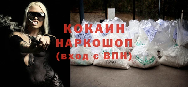 индика Алексин